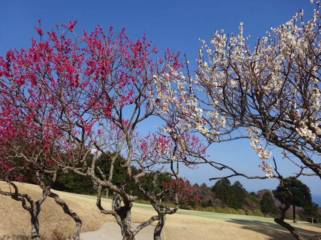 Atami Golf Club-热海市必去景点