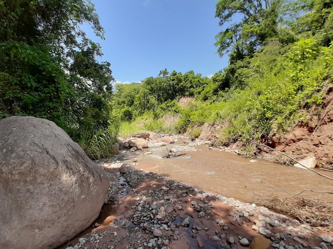 Calilegua National Park-Calilegua必去景点