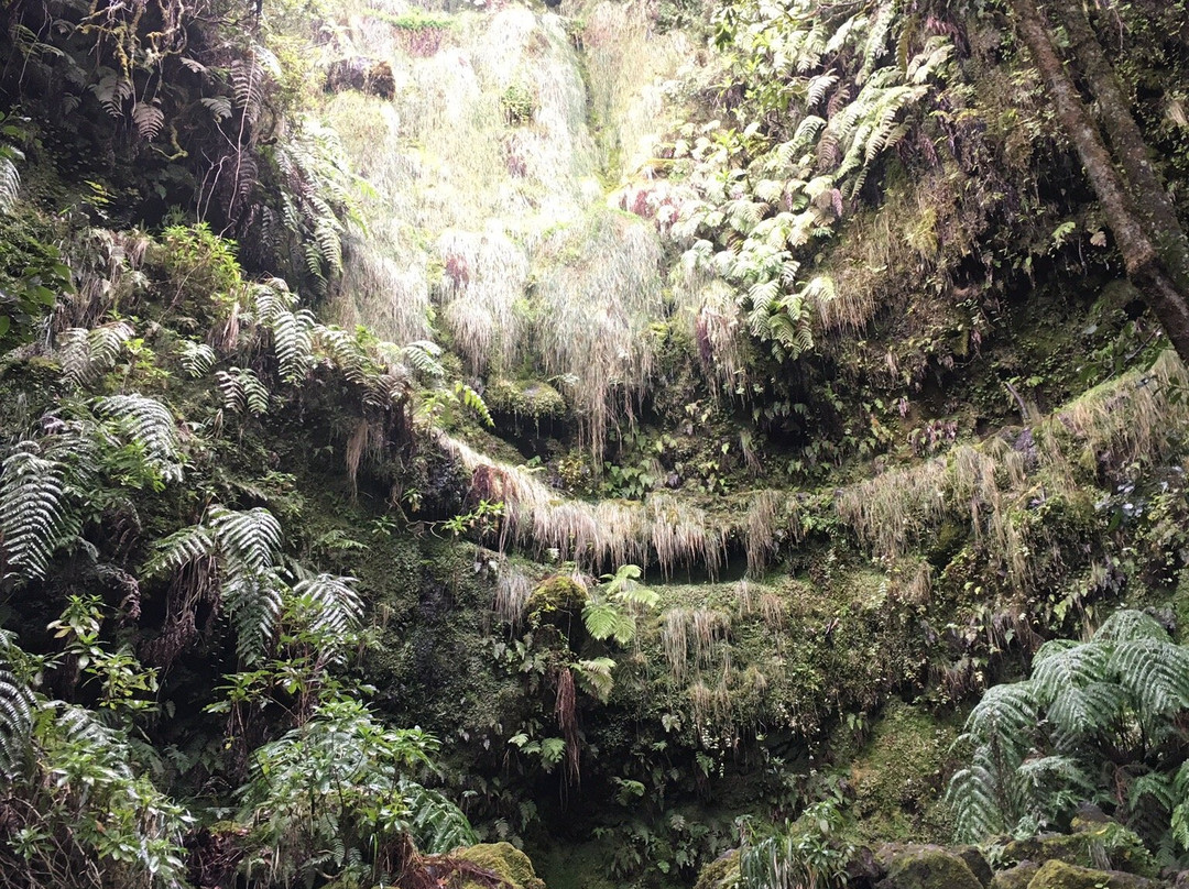 Parque Florestal das Queimadas-Santana必去景点