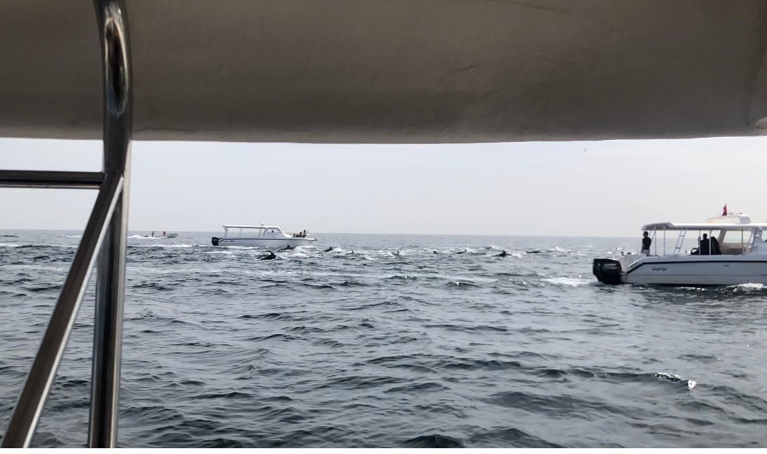 Grand City Centre (GCC) Tours-马斯喀特必去景点