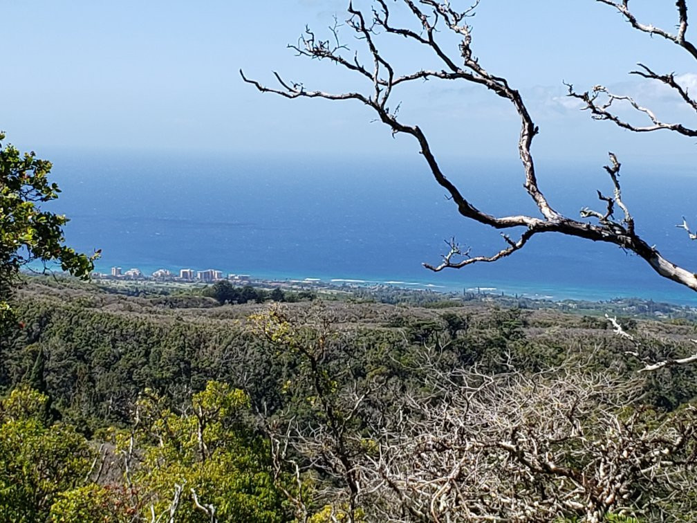 Mahana Ridge Trail景点图片