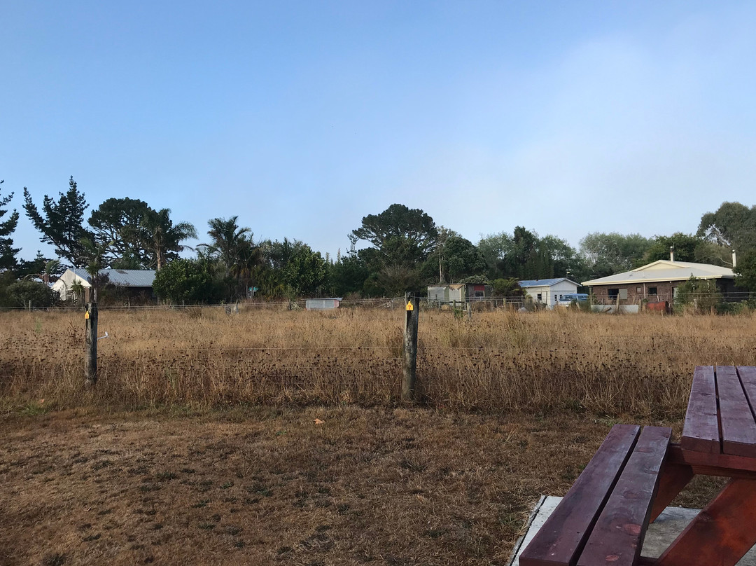 The Cowshed Camping Site