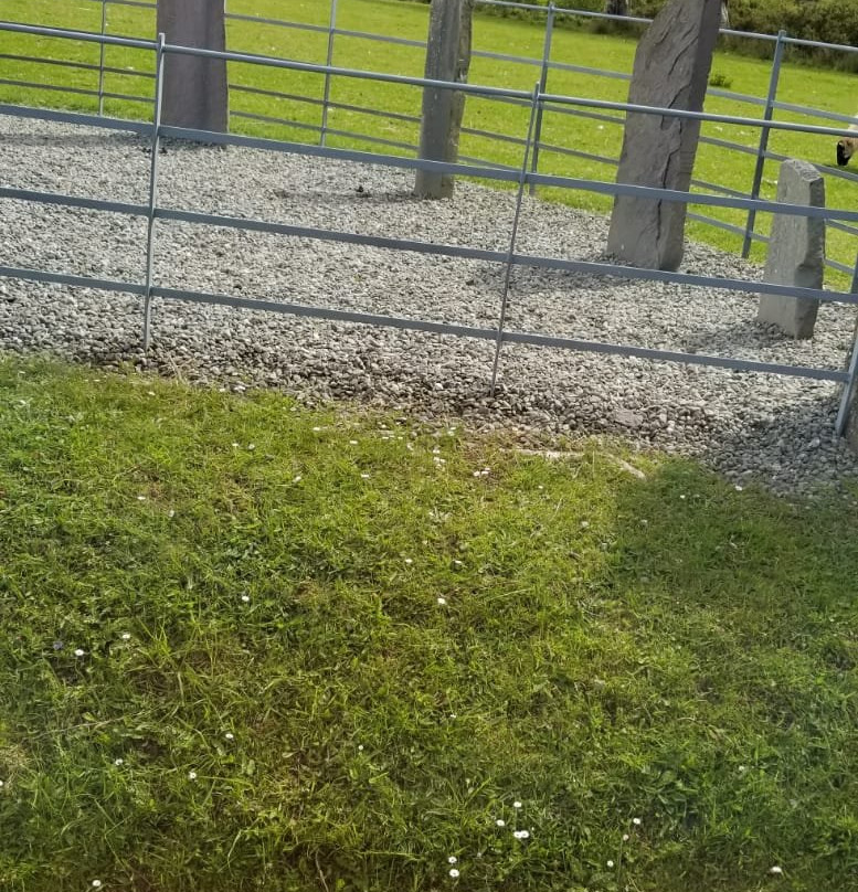 Ogham Stones-基拉尼必去景点