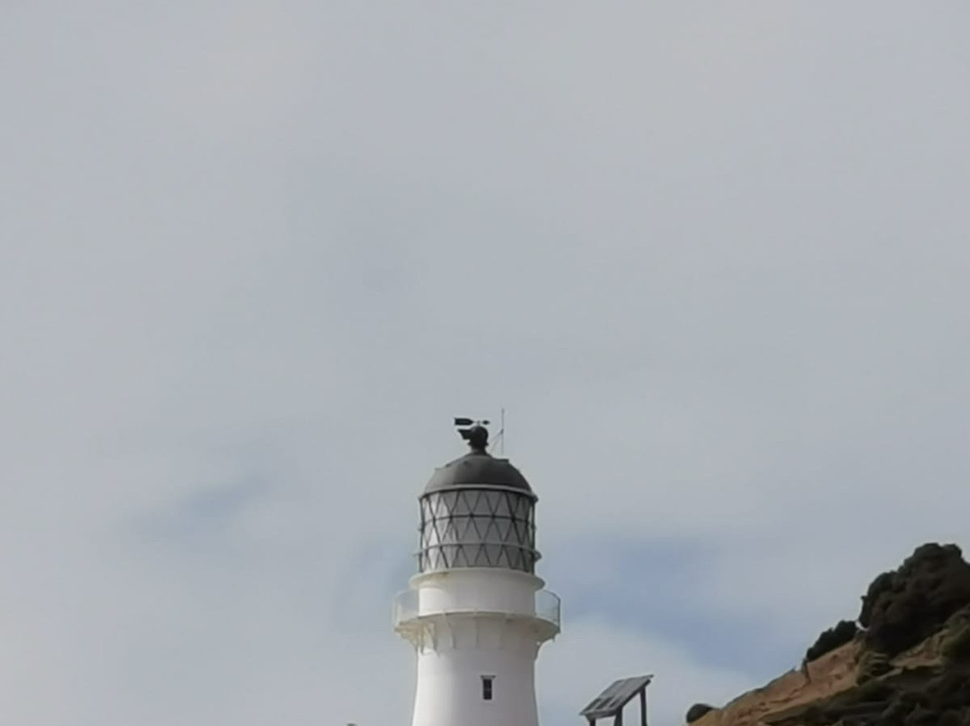 Cape Brett Walkway景点图片