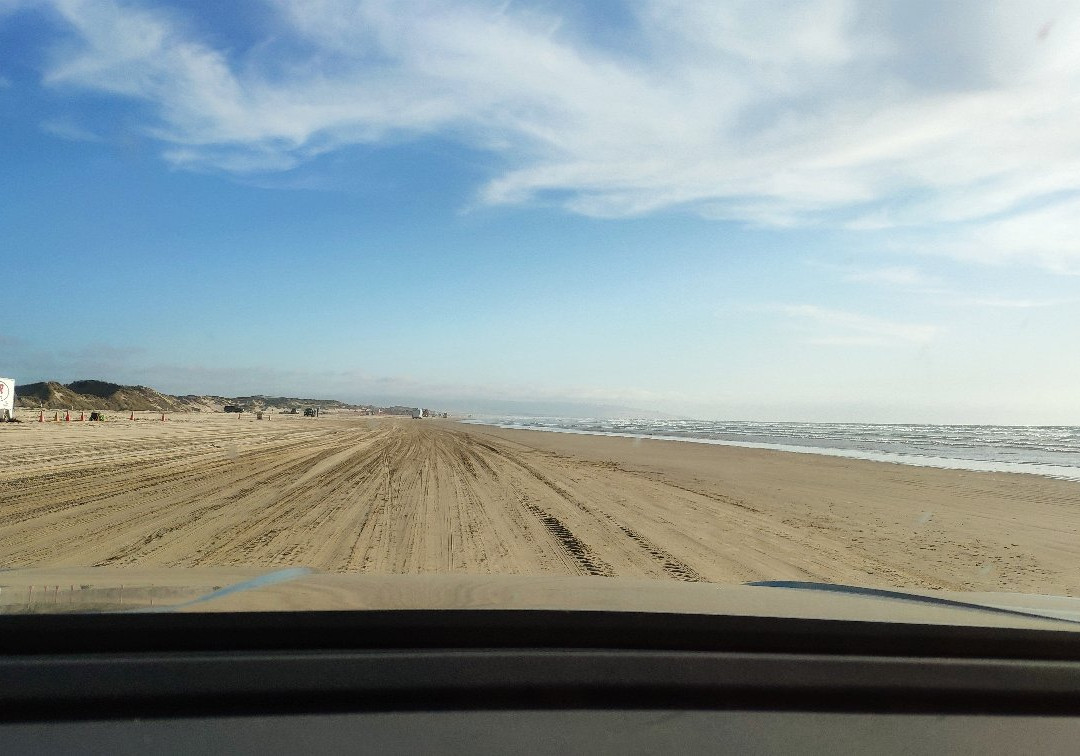 Pismo State Beach景点图片