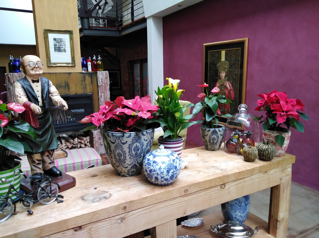 Haenerstburg酒店住宿-Bramasole Boutique Hotel