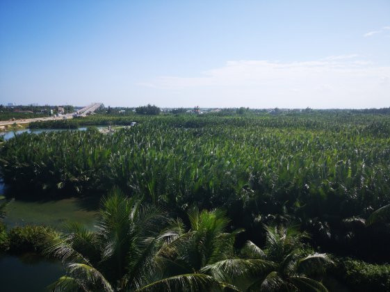 Hoi An Local Villa主图
