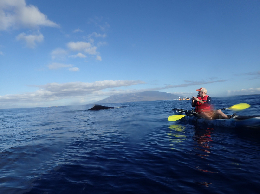Hawaiian Paddle Sports-拉海纳必去景点