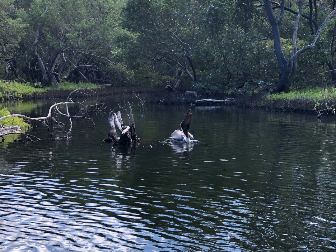 雷斯廷加国家公园-玛格丽塔岛必去景点