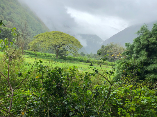 威毕欧山谷车游-霍诺卡阿必去景点