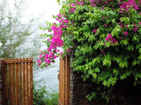 峇都汤加别墅酒店主图