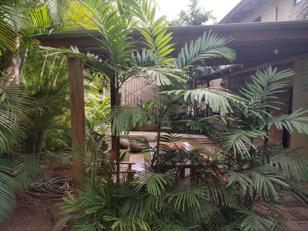 Cafe Playa Negra Boho Chic Hotel主图