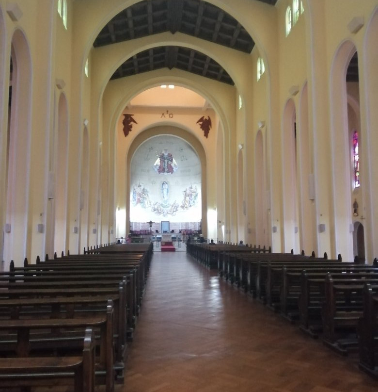 Catedral de la Santisima Concepcion-康塞普西翁必去景点