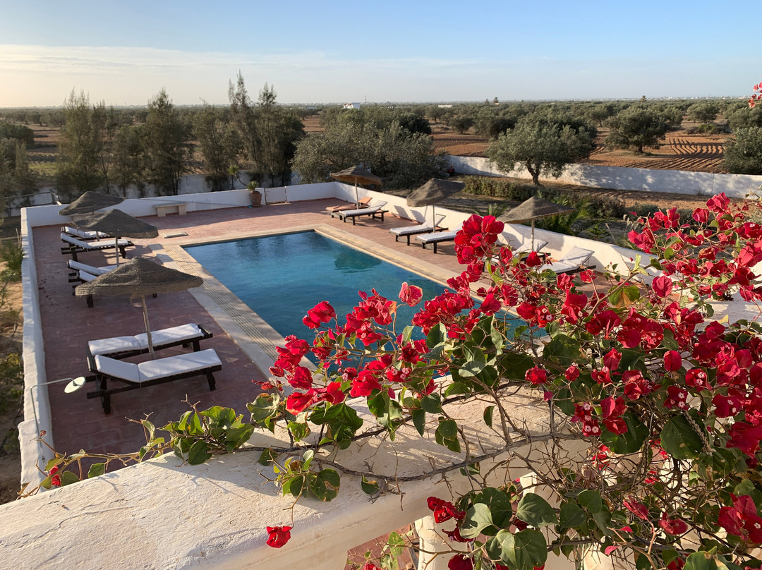 Ranch El-Manar B&B and Stables主图