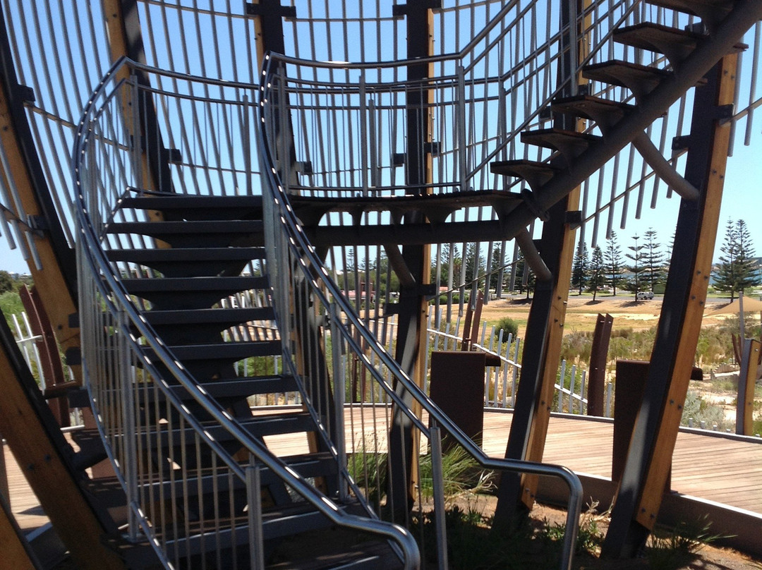 Mangrove Cove Lookout-班伯利必去景点