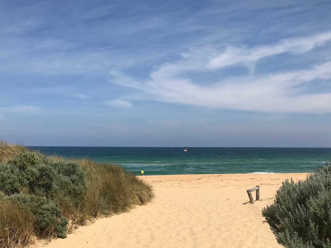 Lakes Entrance Beach景点图片