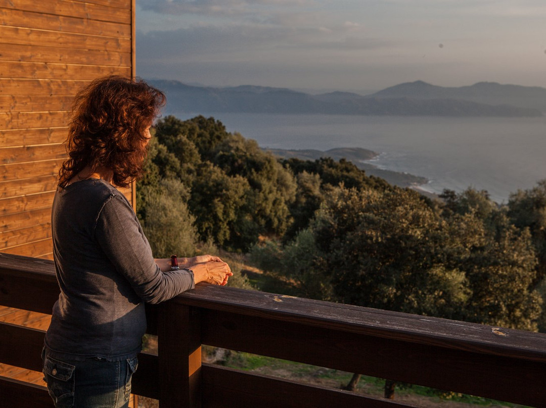 La Pampa Chambres d'hotes Cargese主图