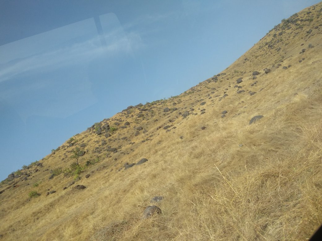 Bhimashankar Wildlife Sanctuary景点图片