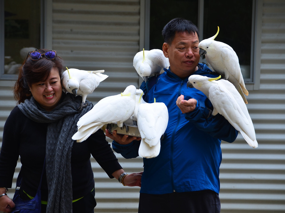 Grants on Sherbrooke-Kallista必去景点