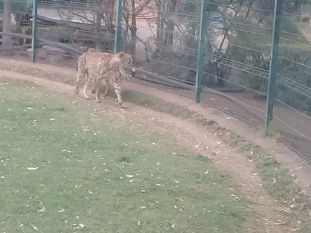 Parque Zoológico Benito Juárez景点图片
