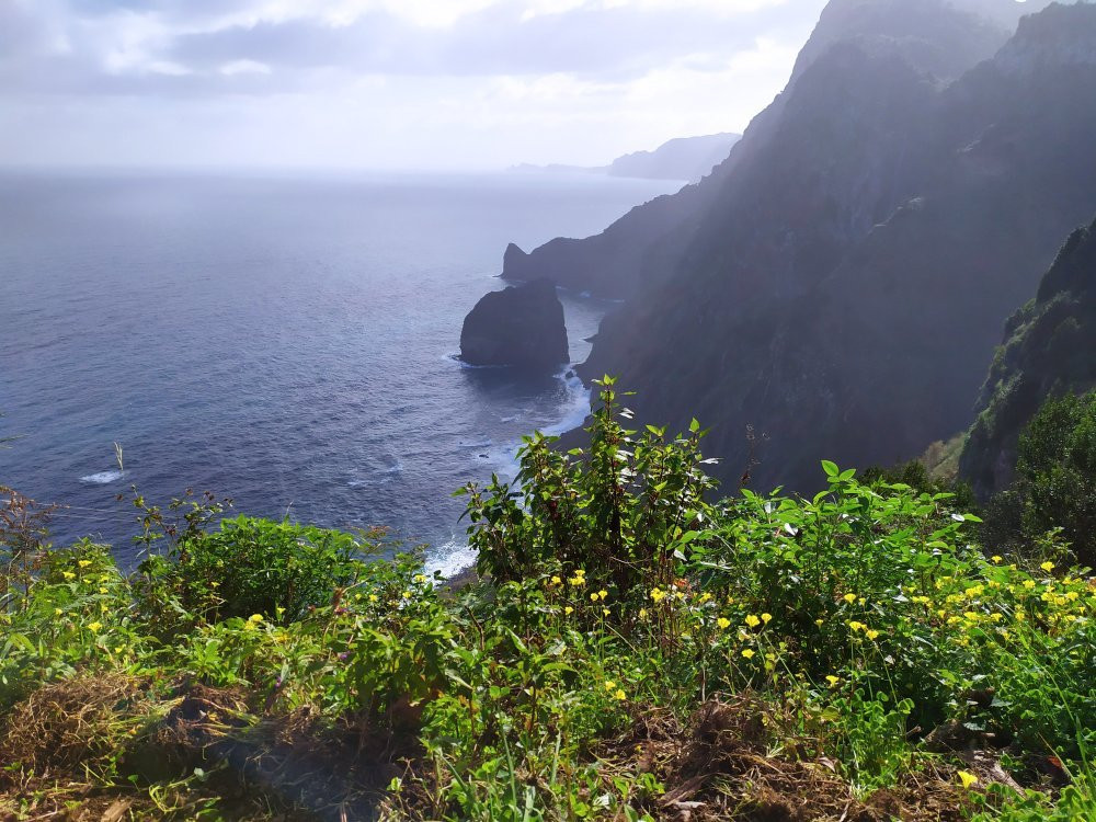 Reserva Natural da Rocha do Navio-Santana必去景点