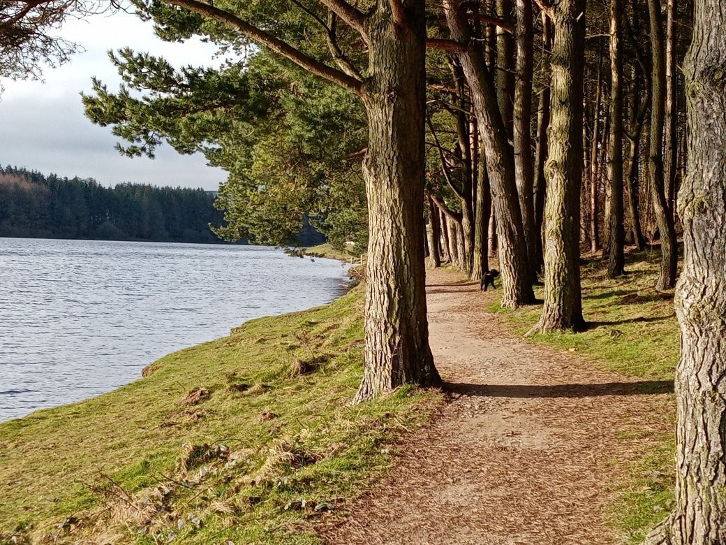 Thruscross Reservoir景点图片