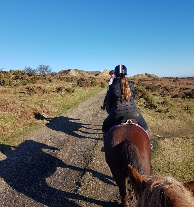 Caradon Hill Trekking and Equestrian Centre-Pensilva必去景点