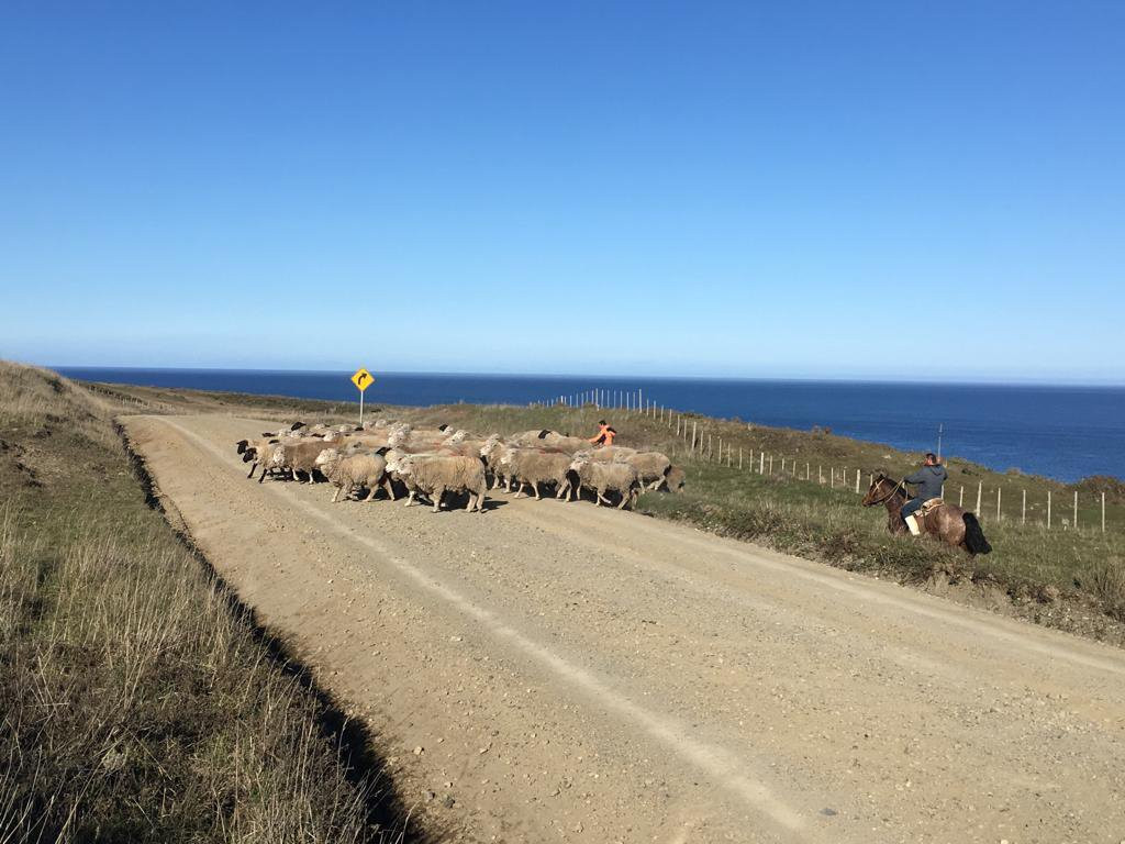 TDF Patagonia TOUR-Porvenir必去景点