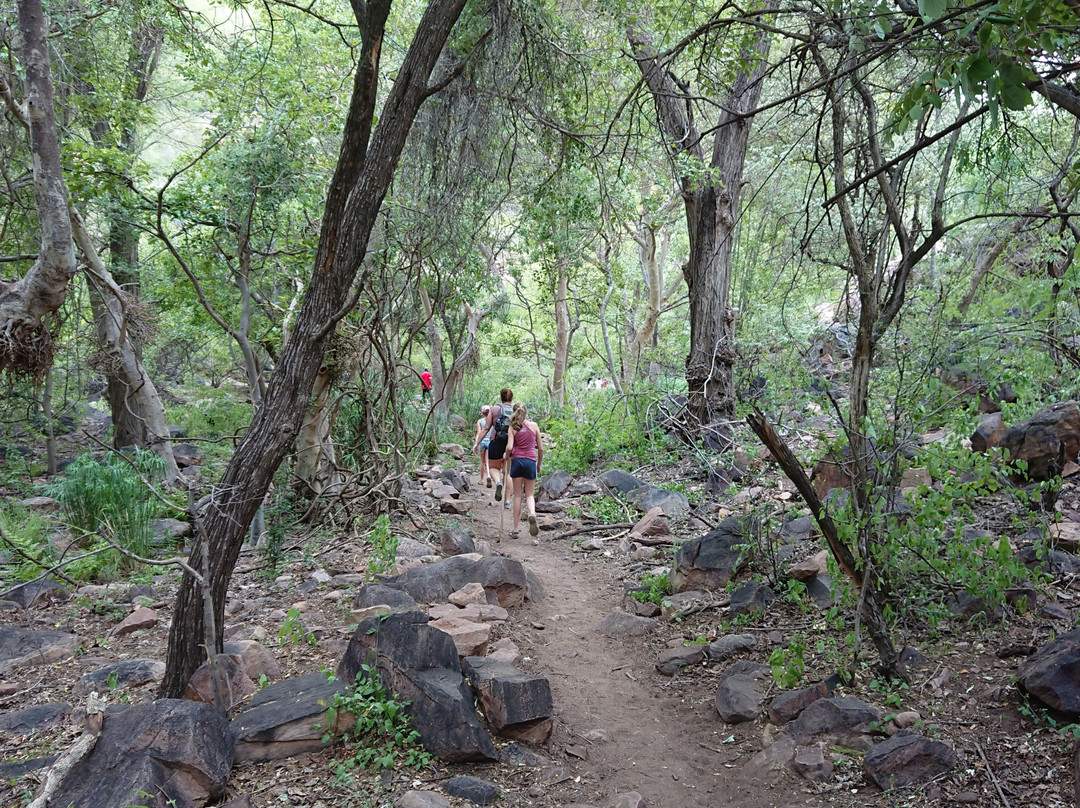 Moremi Gorge-Palapye必去景点