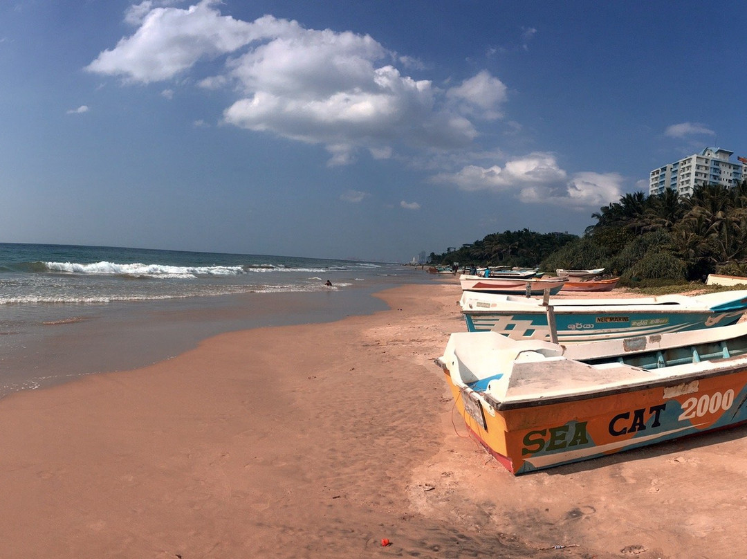 The Villa In Lavinia主图