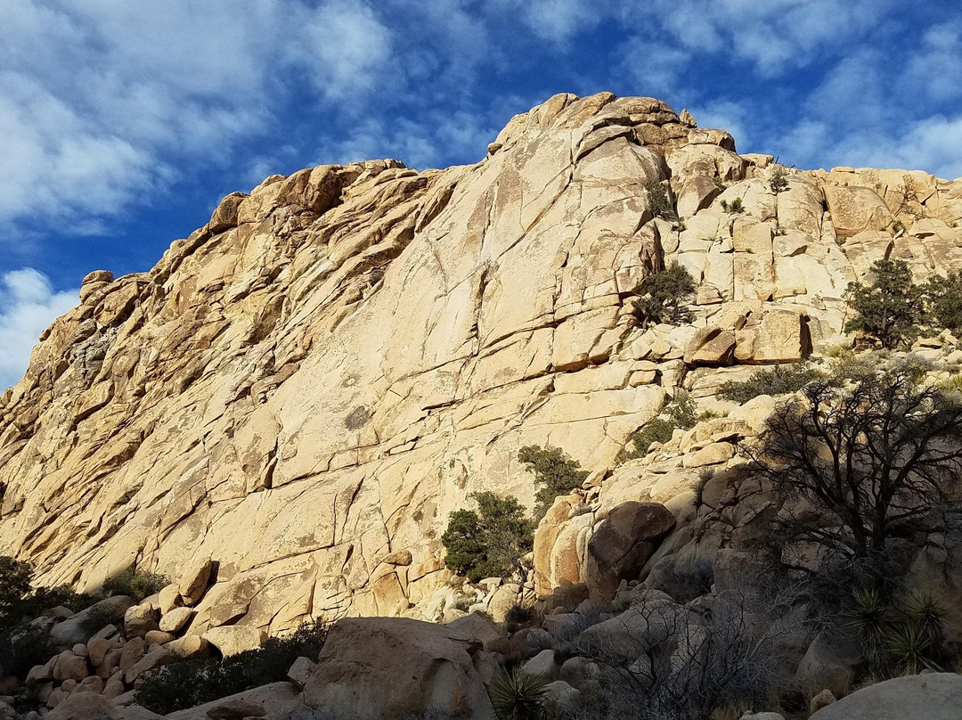 Ground Up Climbing Guides-约书亚树必去景点