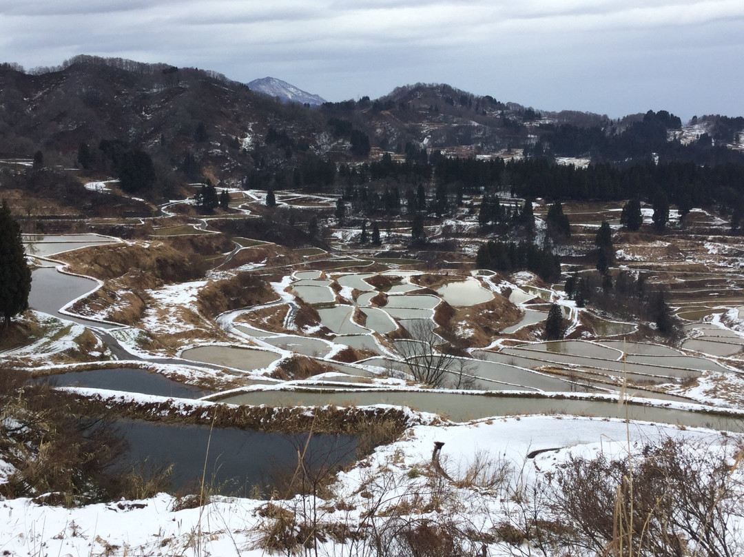 Hoshitoge Rice Terraces景点图片
