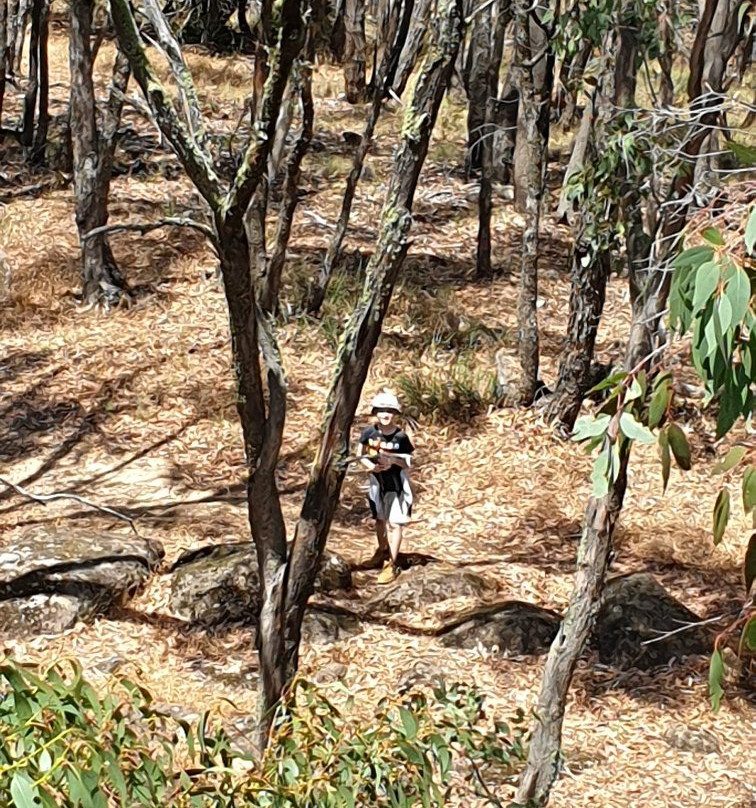 Hepburn Mineral Springs Reserve-Hepburn Springs必去景点