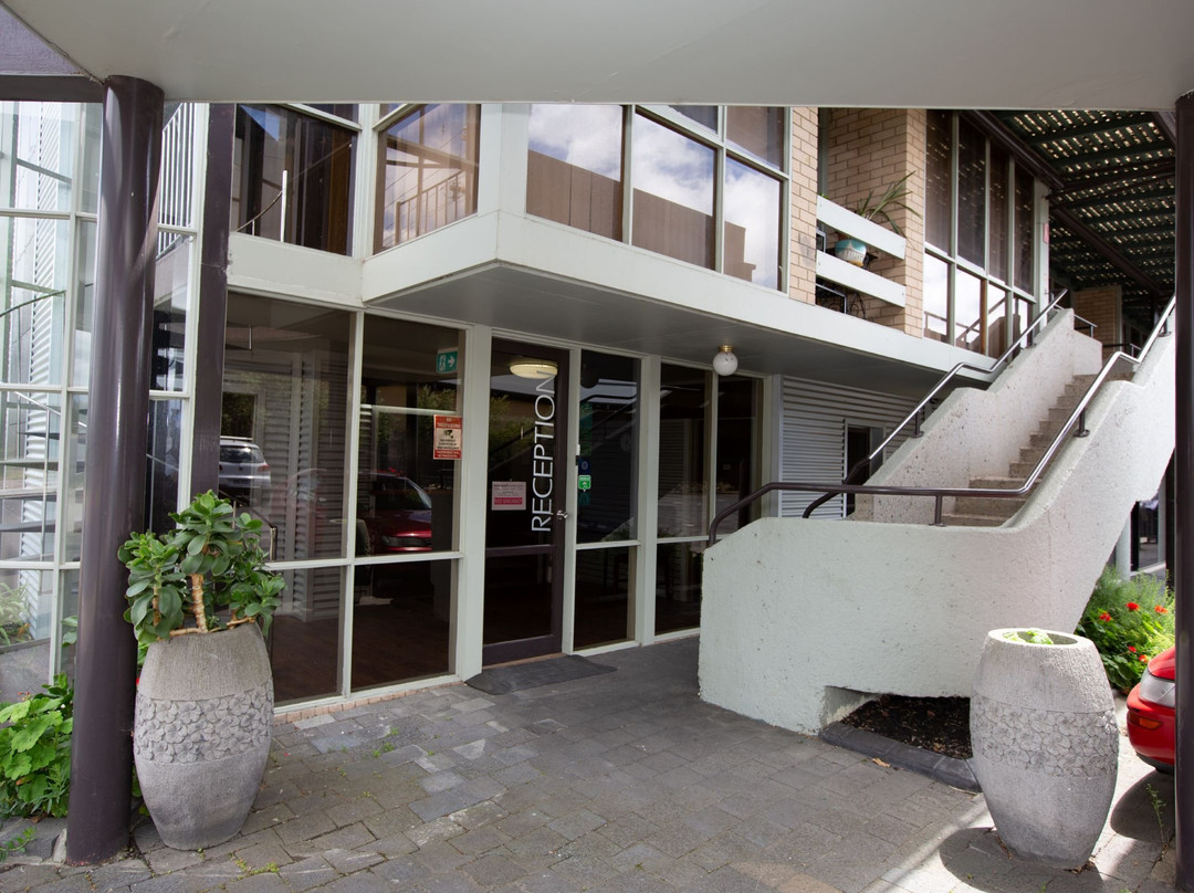 The Olive Tree Motel主图