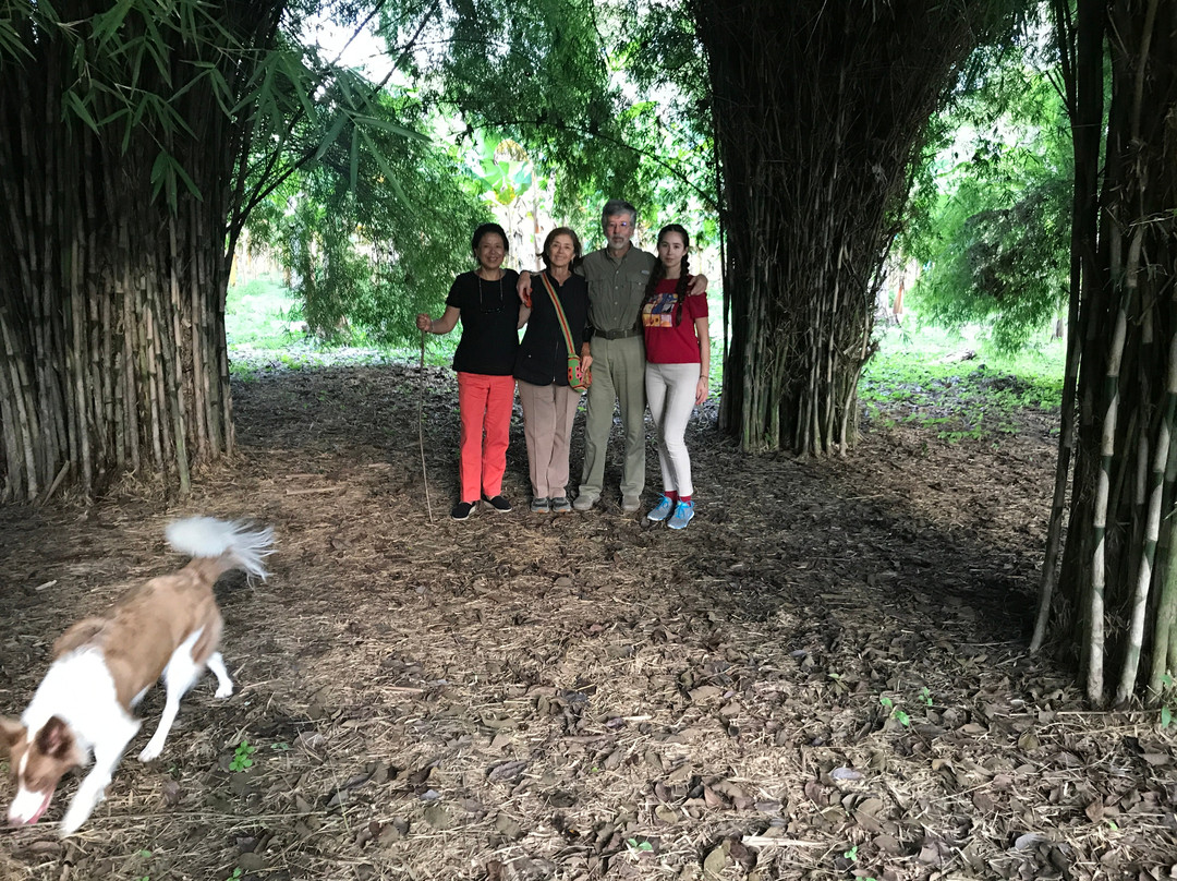 El Paraiso del Bambu y La Guadua-Montenegro必去景点