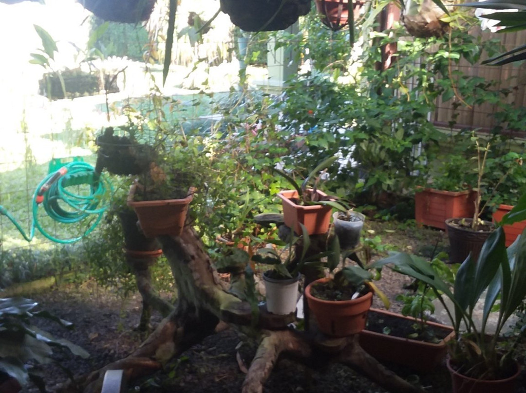 Cabañas Green House主图