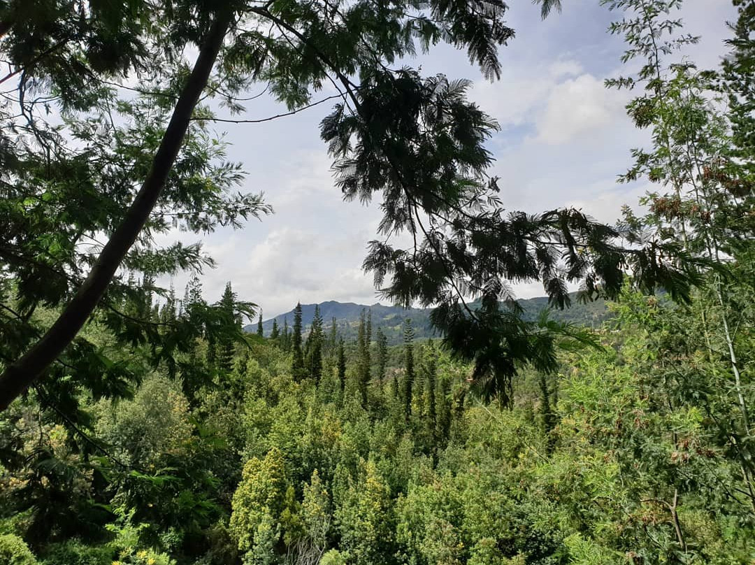 Farallones De Sutatausa景点图片