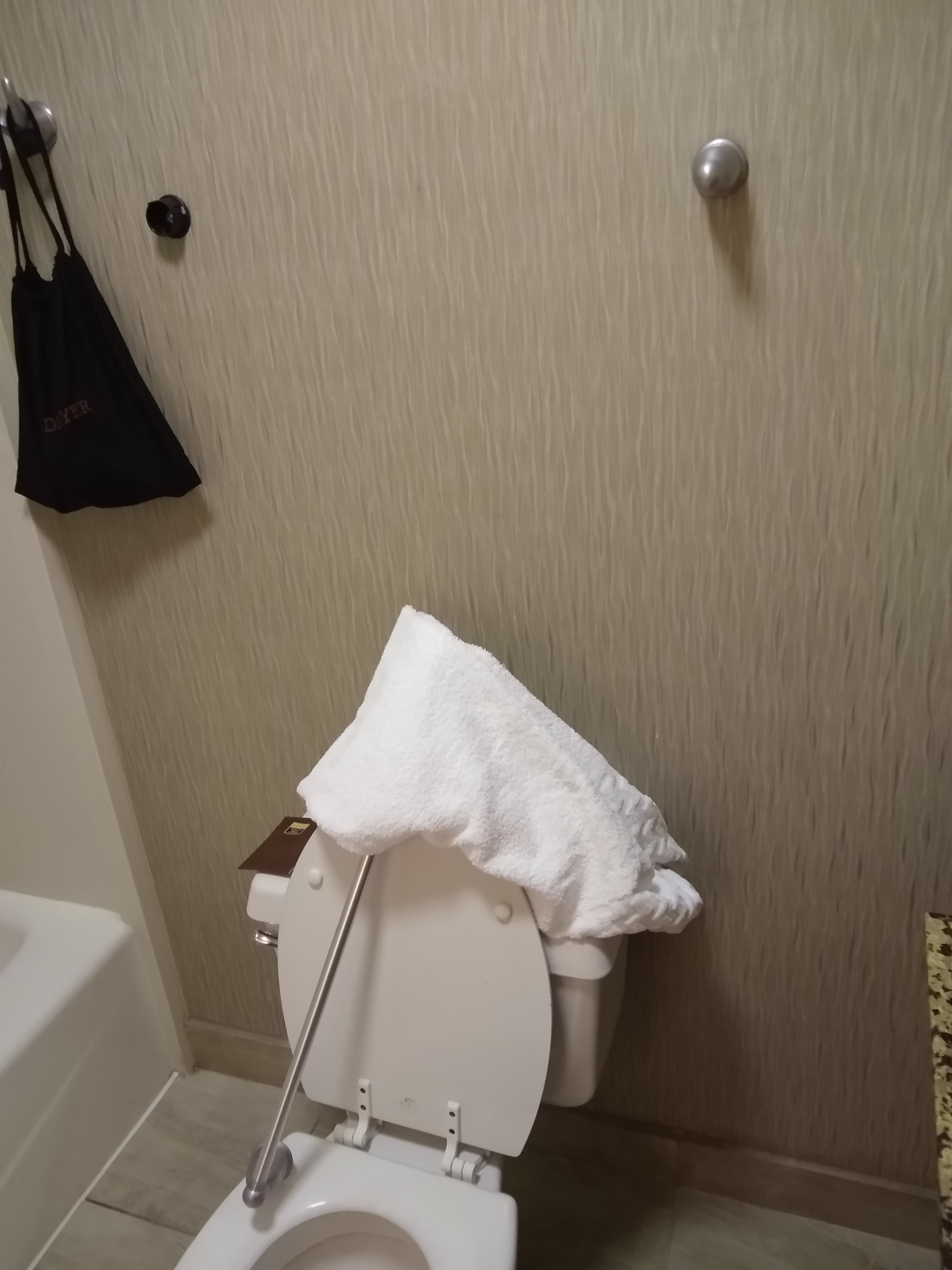 Best Western Plus Tallahassee North Hotel-浴室