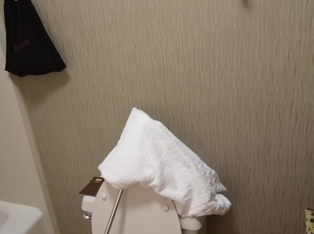 Best Western Plus Tallahassee North Hotel主图