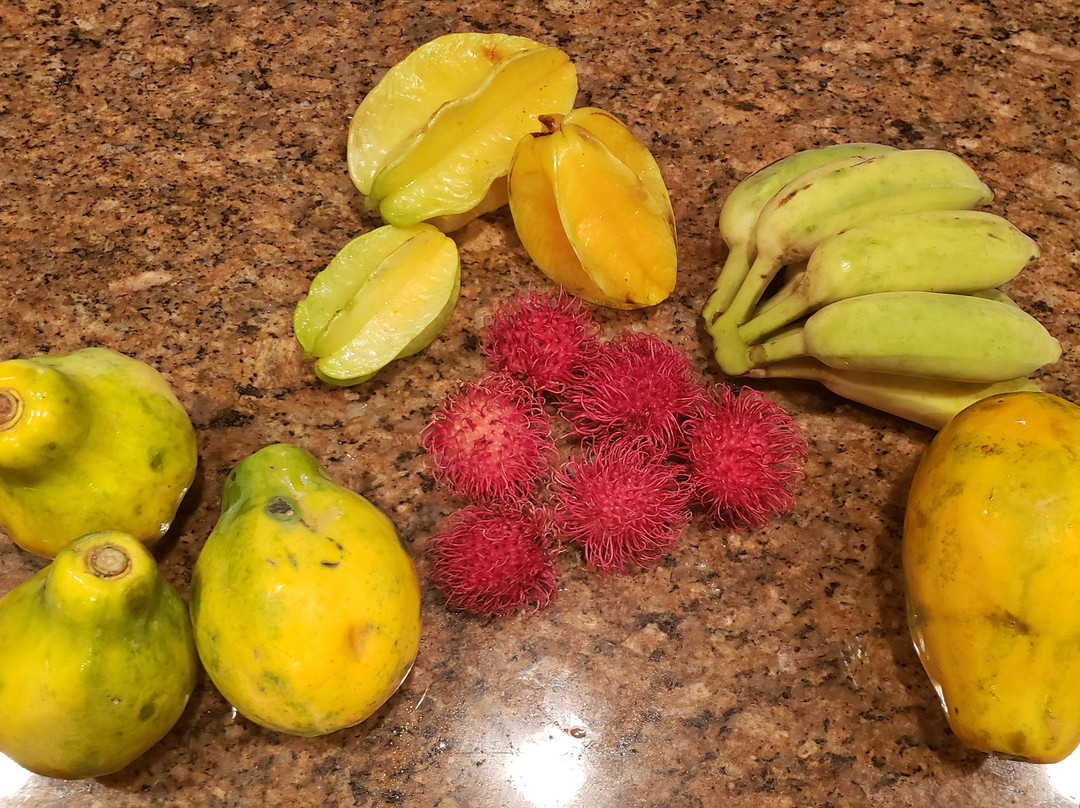 Hanalei Farmer’s Market-哈纳雷伊必去景点