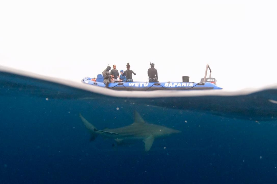 Wetu Safaris-Umkomaas必去景点