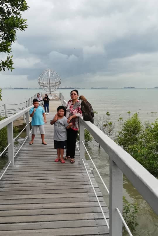 Tanjung Piai National Park景点图片