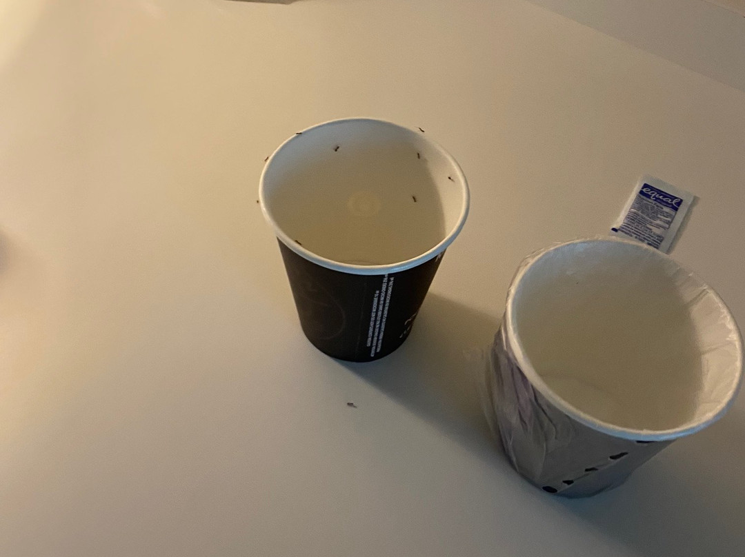 Home2 Suites by Hilton Alameda Oakland Airport主图