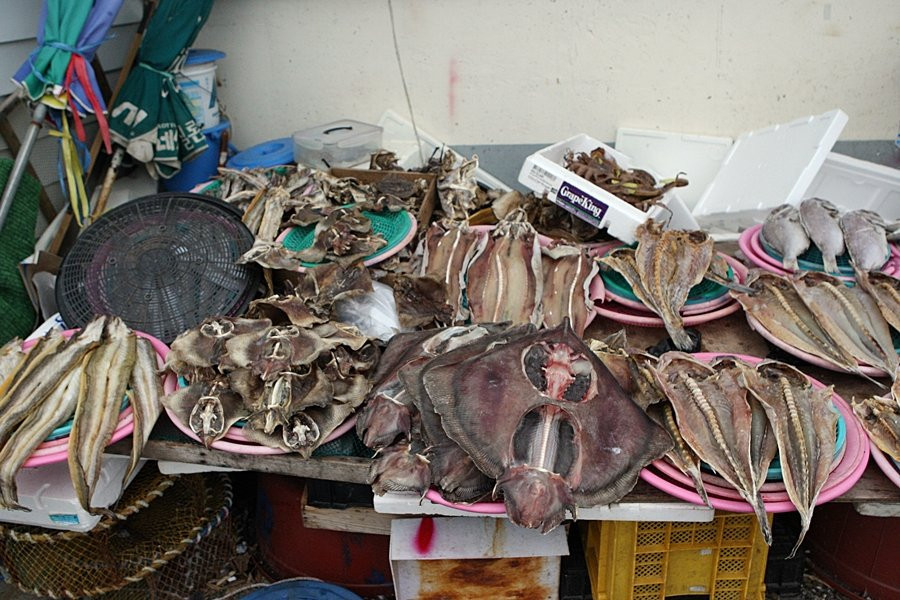 Nokdong Port-高兴郡必去景点
