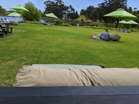 Vine Hopper-斯泰伦博斯必去景点