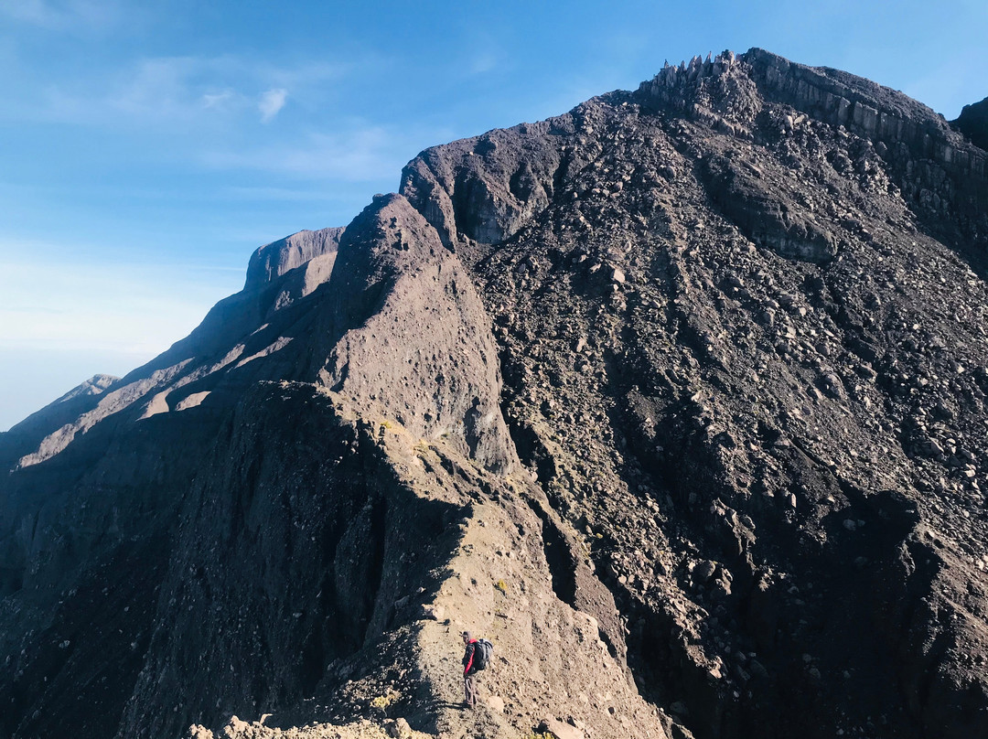 Open Trip Menjangan Tabuhan-巴纽旺宣必去景点