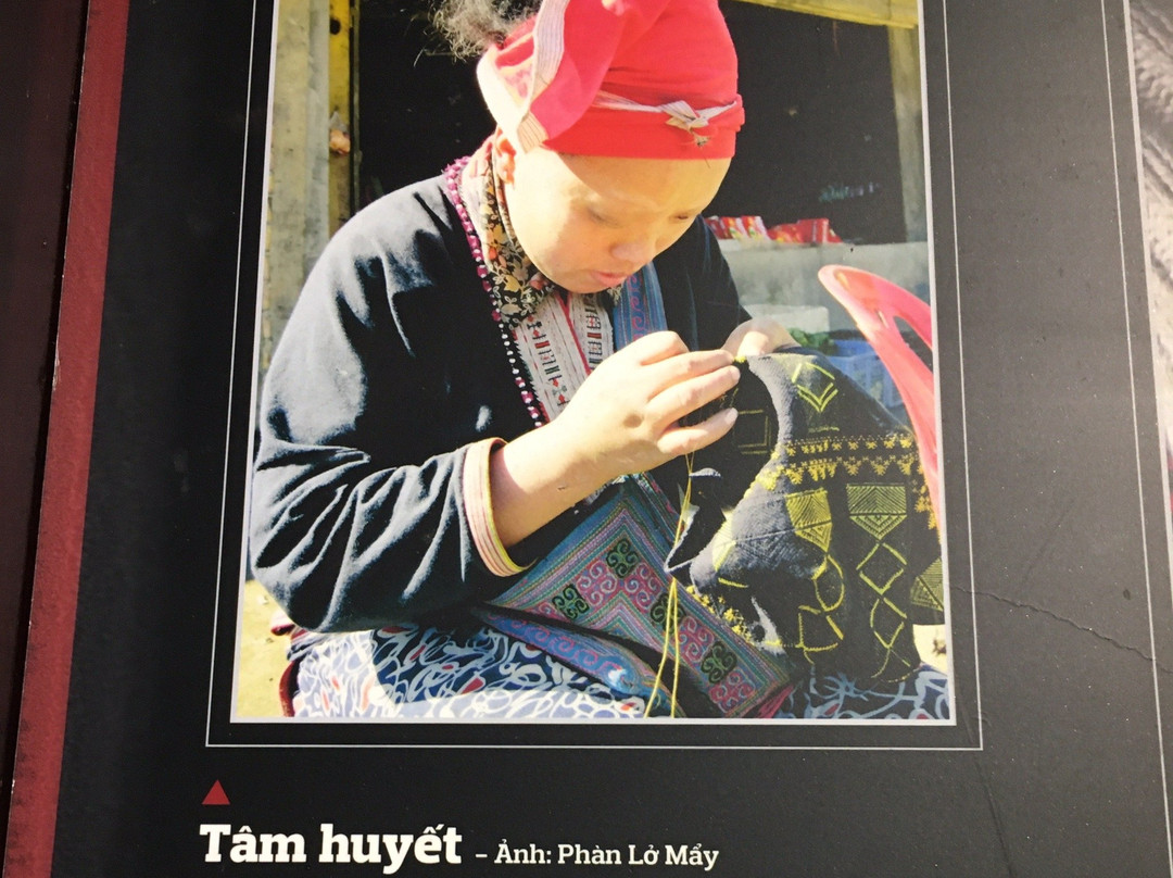 Sapa Culture Museum景点图片
