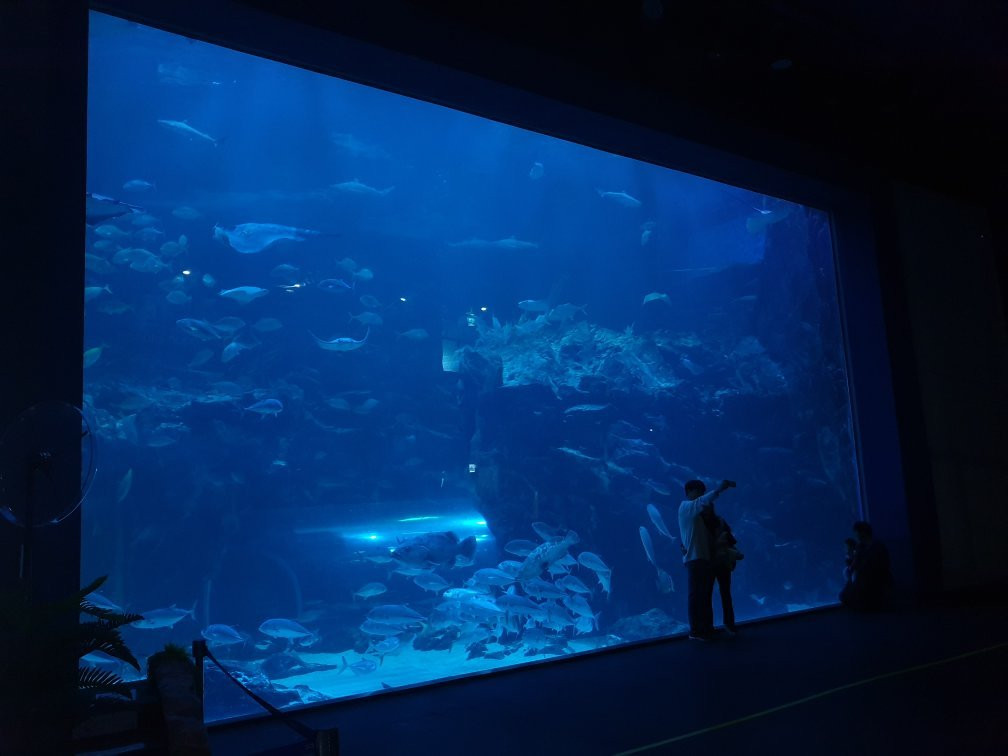 Hanwha Aqua Planet Ilsan-高阳市必去景点