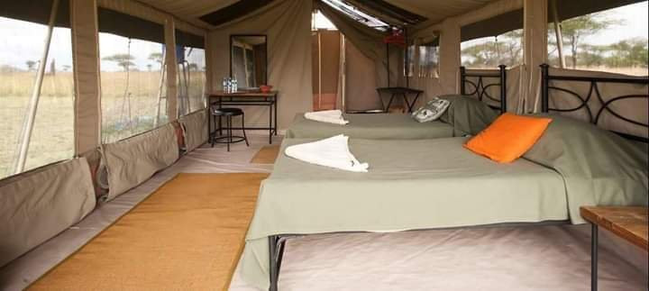 Tail Spotter Safari-莫洛哥罗必去景点