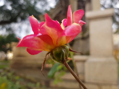 Titanic Trail-南安普敦必去景点